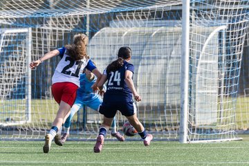 Bild 252 - wBJ Hamburger SV - Hertha BSC : Ergebnis: 2:1